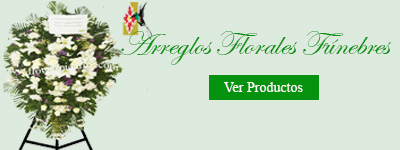 Arreglos Florales Fúnebres