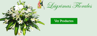 Lágrimas Florales